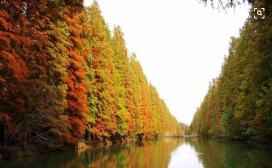 淮安金湖县，淮上明珠、荷花之都，一座富有水乡特色的苏北小城