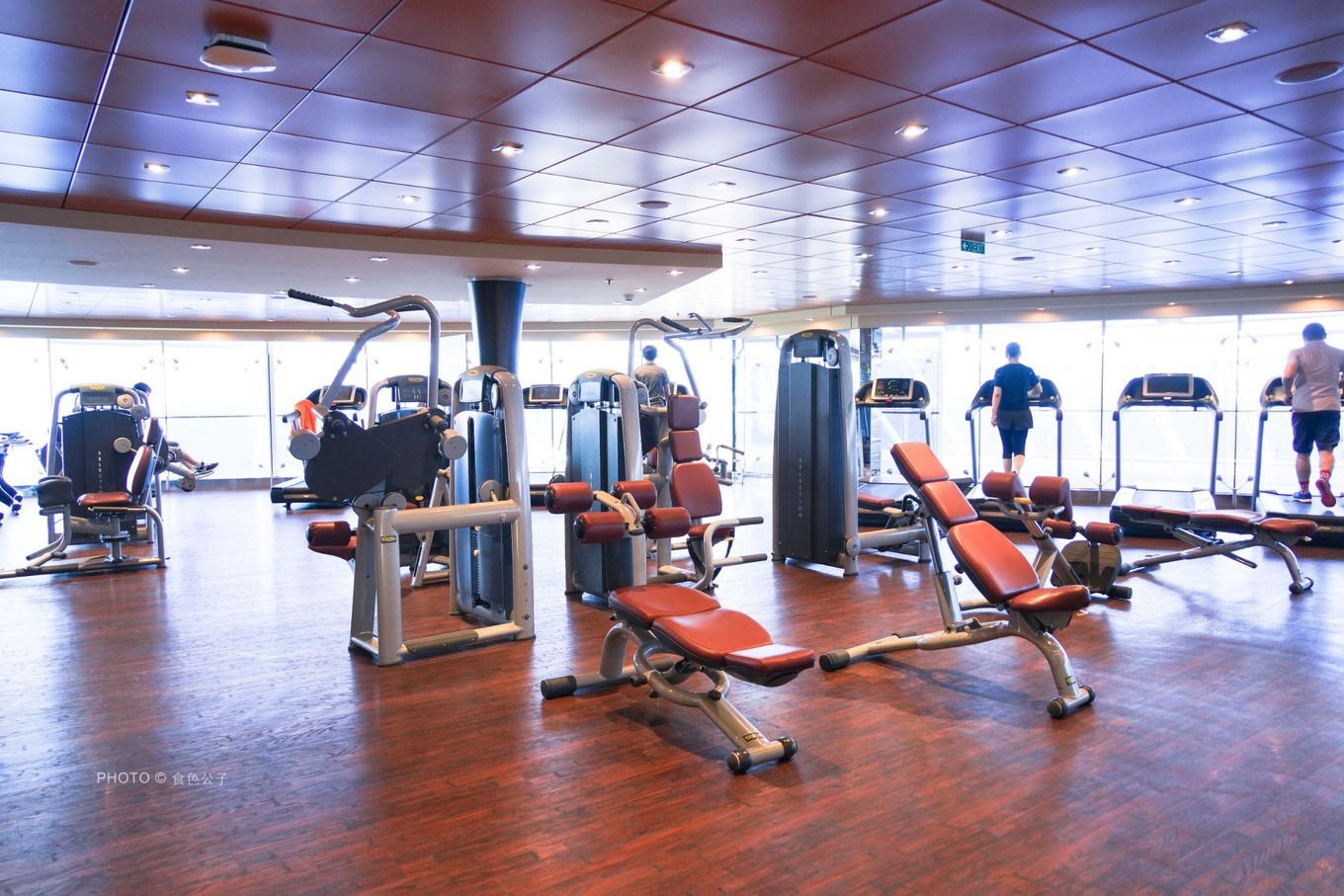 邮轮像海上养猪场,海上养猪场不负盛名