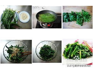 春天得吃点春韭,吃春韭