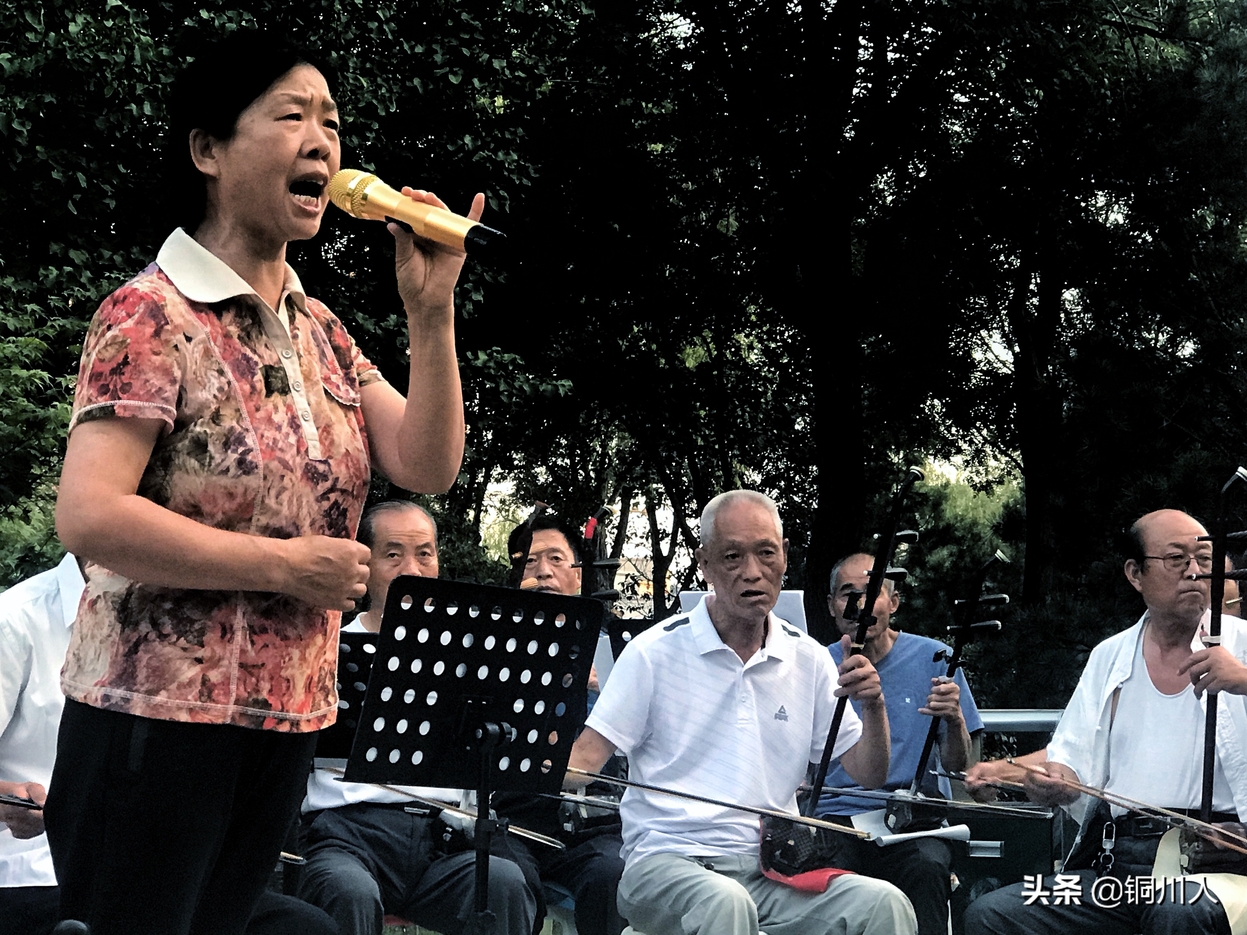 魅力铜川图片,美丽铜川新区
