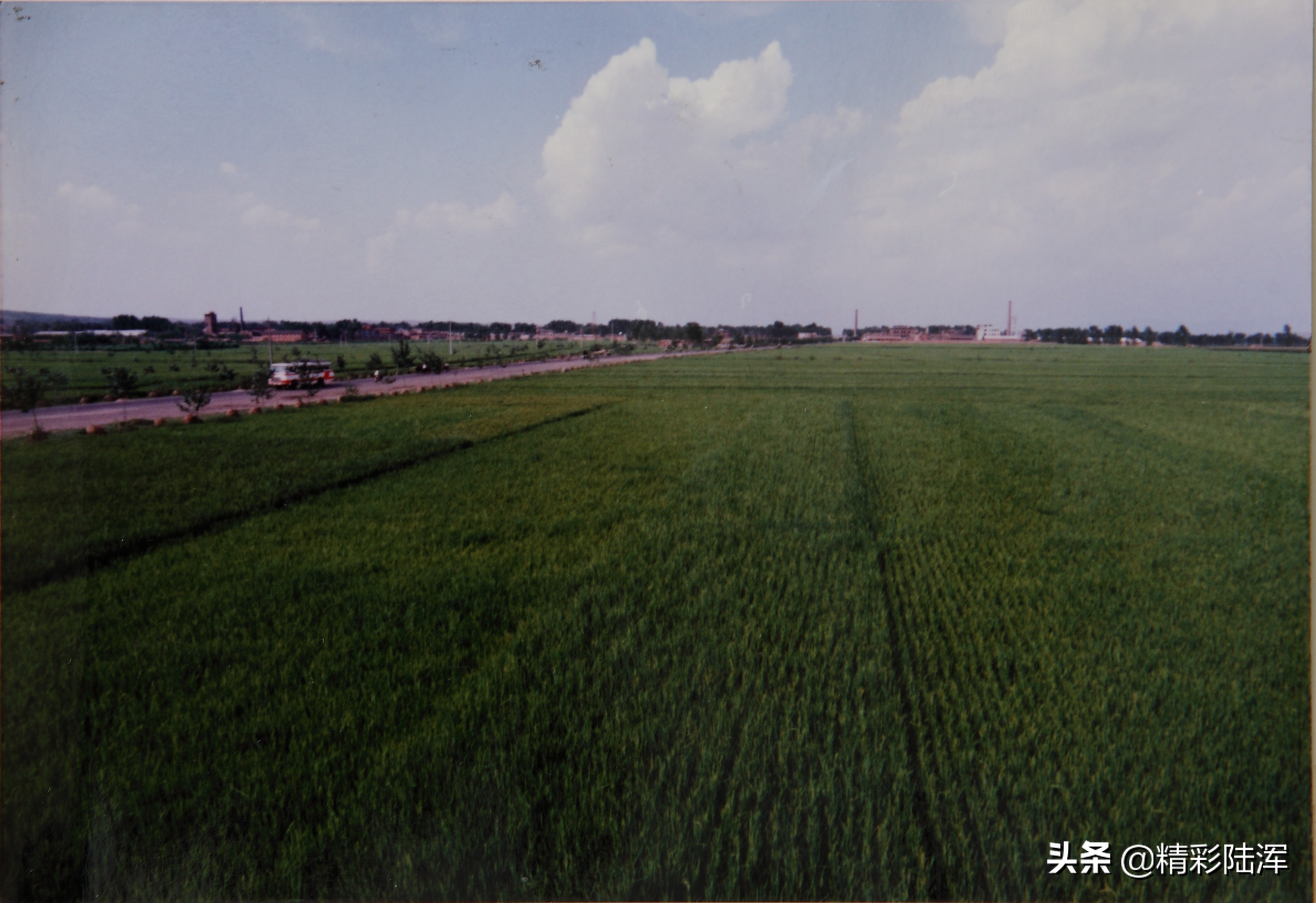 豫西有个布雨的“龙”