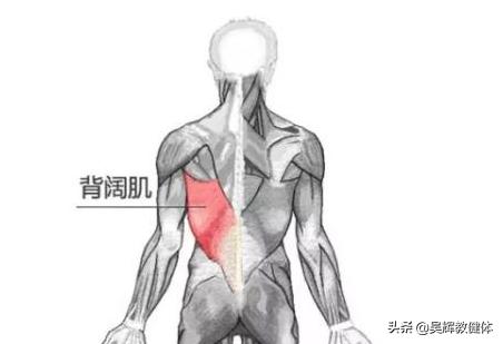 背阔肌练宽黄金动作,高效练背部两侧背阔肌