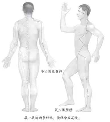 眼睛周围有鱼尾纹是肝还是胆不好,鱼尾纹是因为胆经不通吗
