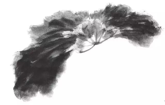 白描荷花的画法图片,如何画荷花白描大片