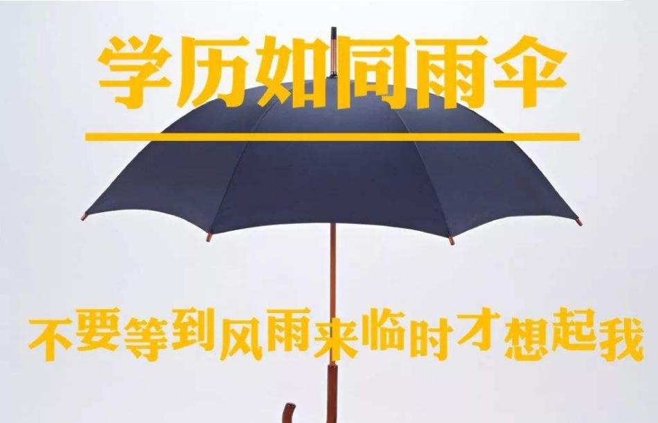 什么是学位什么是学历,什么是学位信息