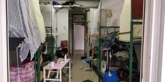 要想过得好哪里都别跑,要想生活过得去哪能不带点绿