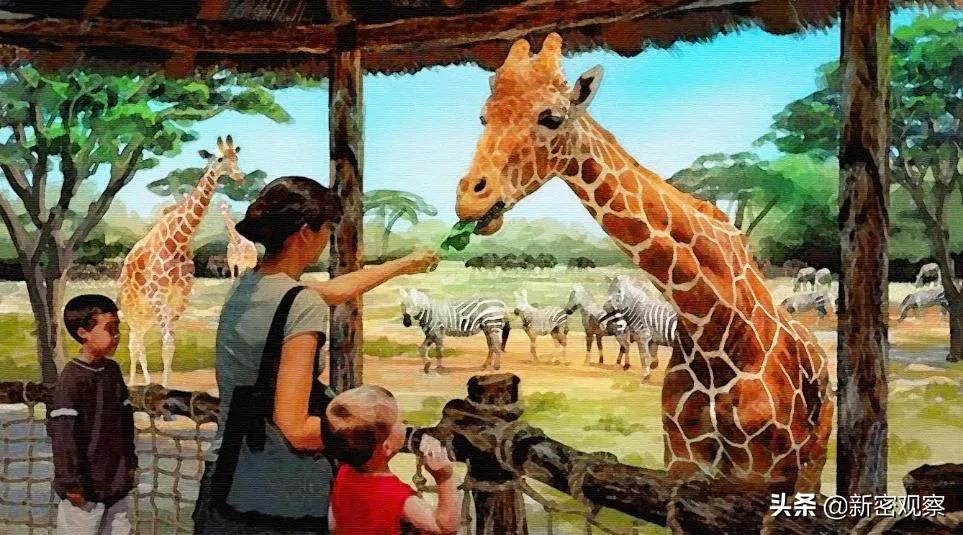 银基动物王国免门票吗,银基动物王国试营业直播