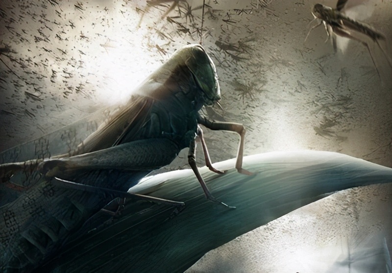 3000字读懂《三体》1：游戏破解自杀谜团，虫子般的人类不可战胜