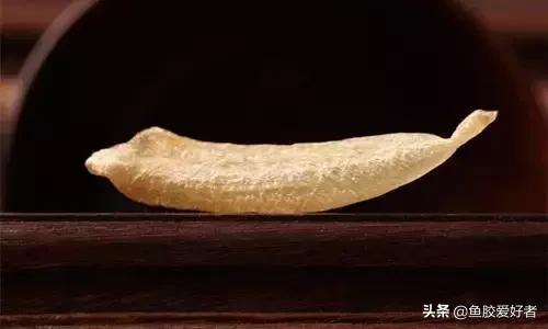 花胶涨发的正确方法,花胶的种类及区别