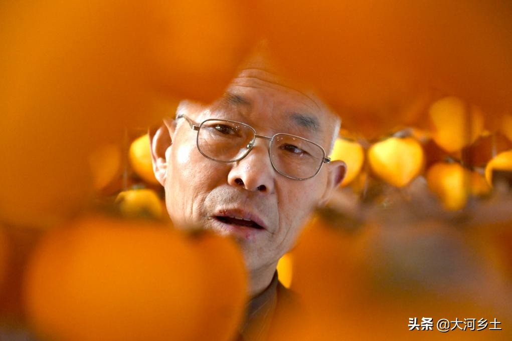 儿子从大企业辞职回乡卖“金饼”,父亲脸上笑开花:一年挣几十万