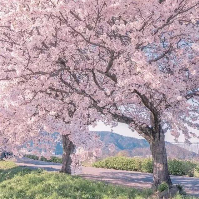 癌症患者日记说不出的心酸,此生未完成于娟生命日记完整版