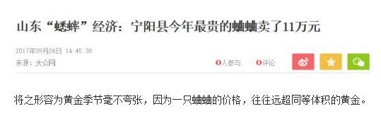 王大治现在有女朋友吗,王大治王双宝