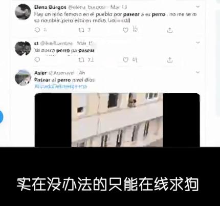 已经遛我38次了!西班牙限行后,主人为了出门把狗都遛瘫了