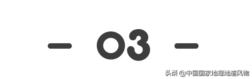 甘肃人的土豆,甘肃人的寿命长吗