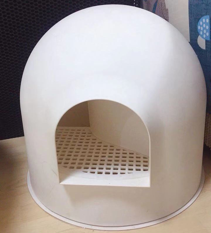 黑色猫配什么样的猫好看,猫选什么样的厕所