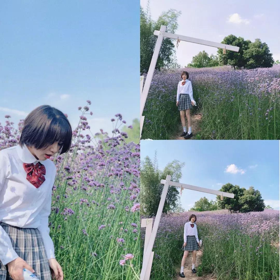 承包你的最美夏天！快来双流这个小普罗旺斯打卡