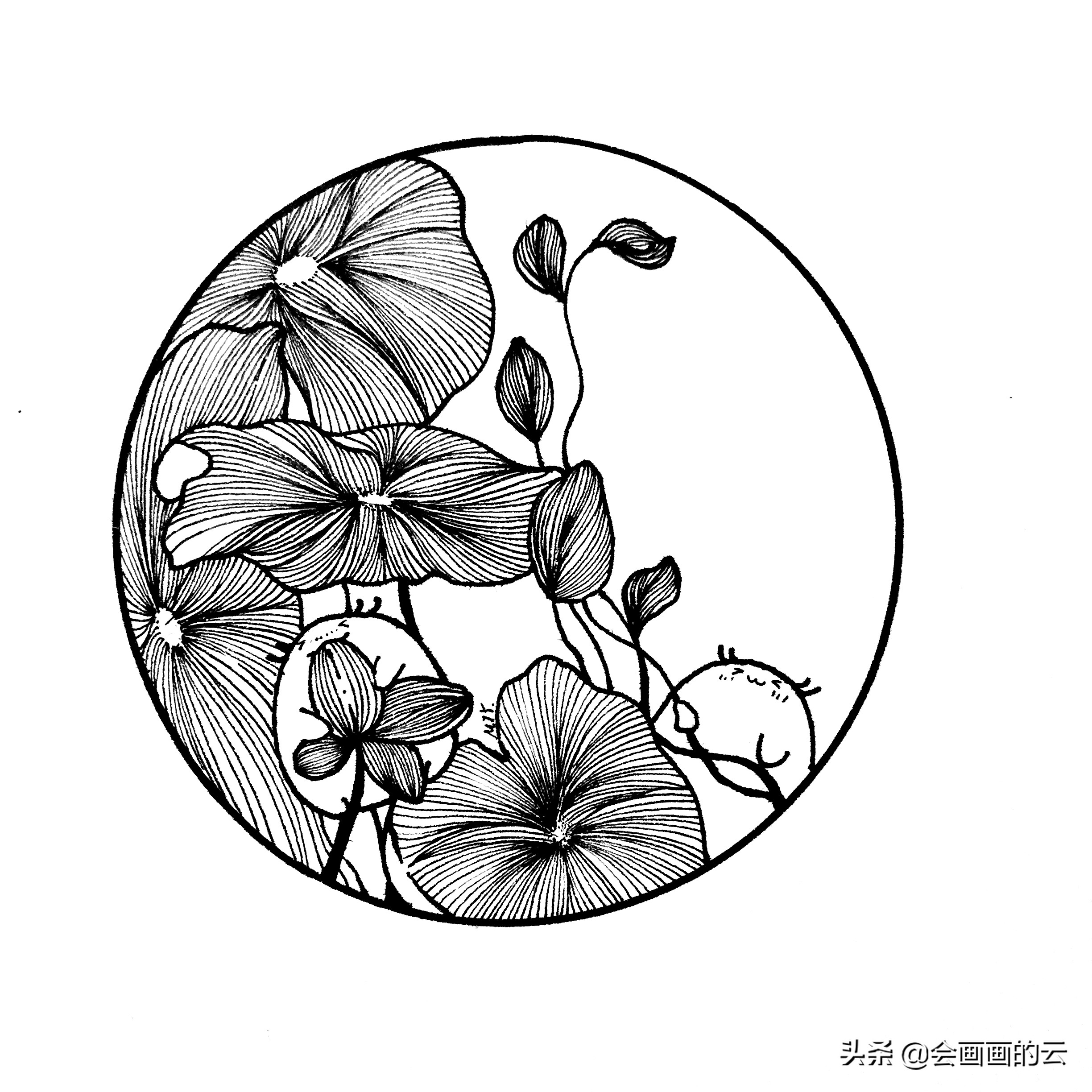 二次元简笔画教程新手入门必备,画画新手必练300图简笔画