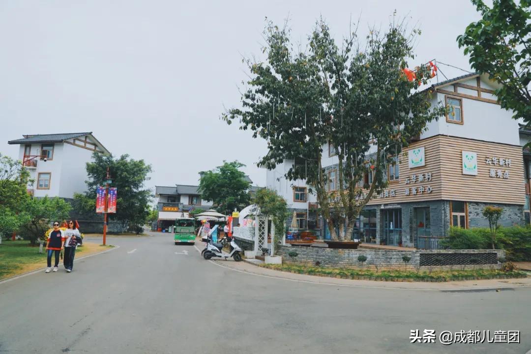 双流空港体育公园看飞机攻略,周末去空港花田