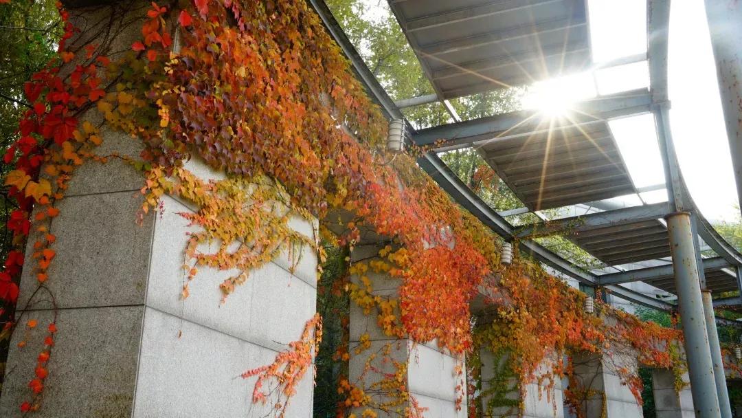 辽宁省普通高等院校,辽宁省沈阳本科大学