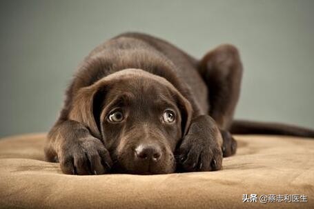 如何治好自己的恐惧症,如果有恐惧症应该注意什么