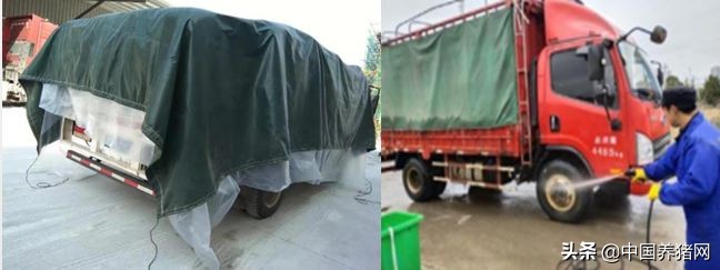 双胞胎饲料评价怎样,双胞胎饲料厂生产技术怎么样