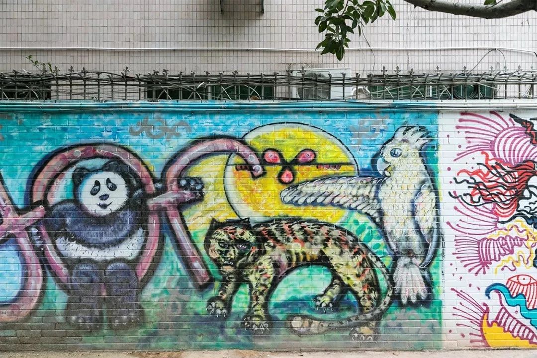 深圳十个小众打卡地,在深圳这些地方既小众又值得打卡