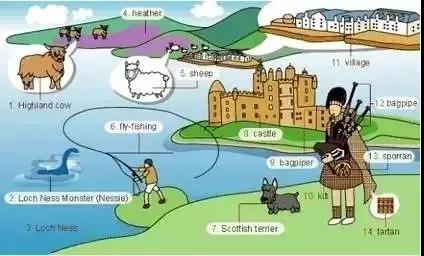 36张图片揭露生活,36张图记住英语生活用词