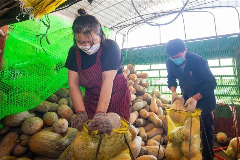 200万吨蔬菜驰援,驰援湖北漳浦18吨爱心蔬菜在路上