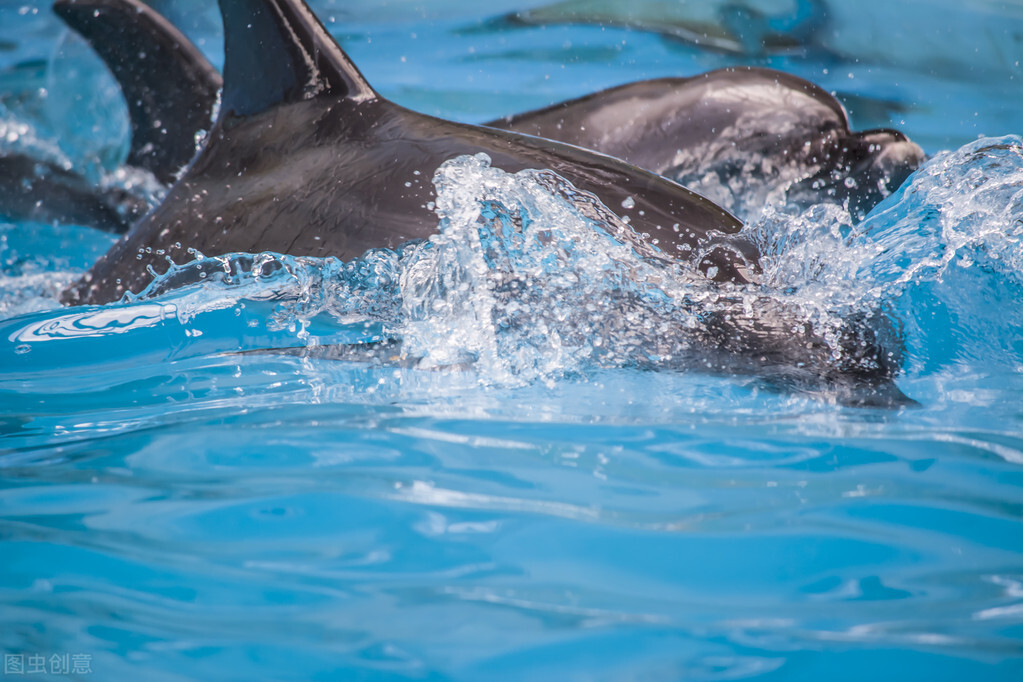 暑期溺亡事件,暑假期间学生溺亡谁负责