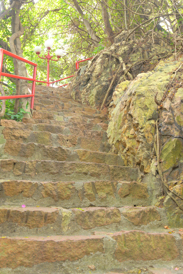 湿地公园菊展在哪,中山菊展一日游