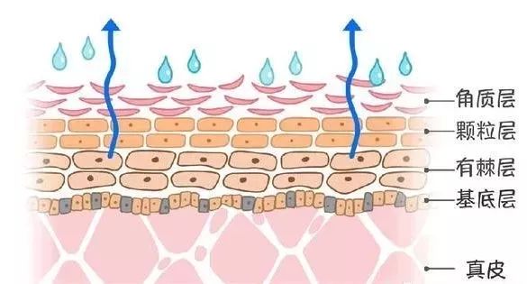 揭秘水光针不止能补水,水光针的真实效果