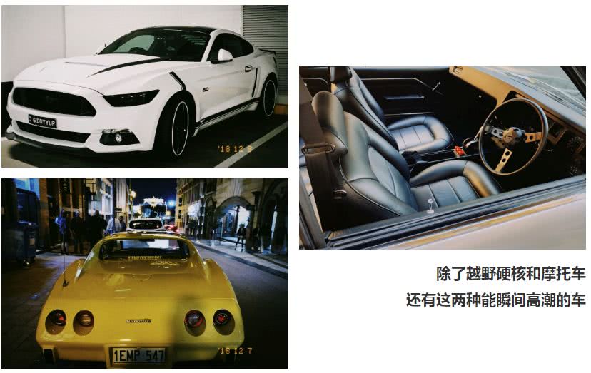 这地方是男人天堂,我们的大宝马也怕了