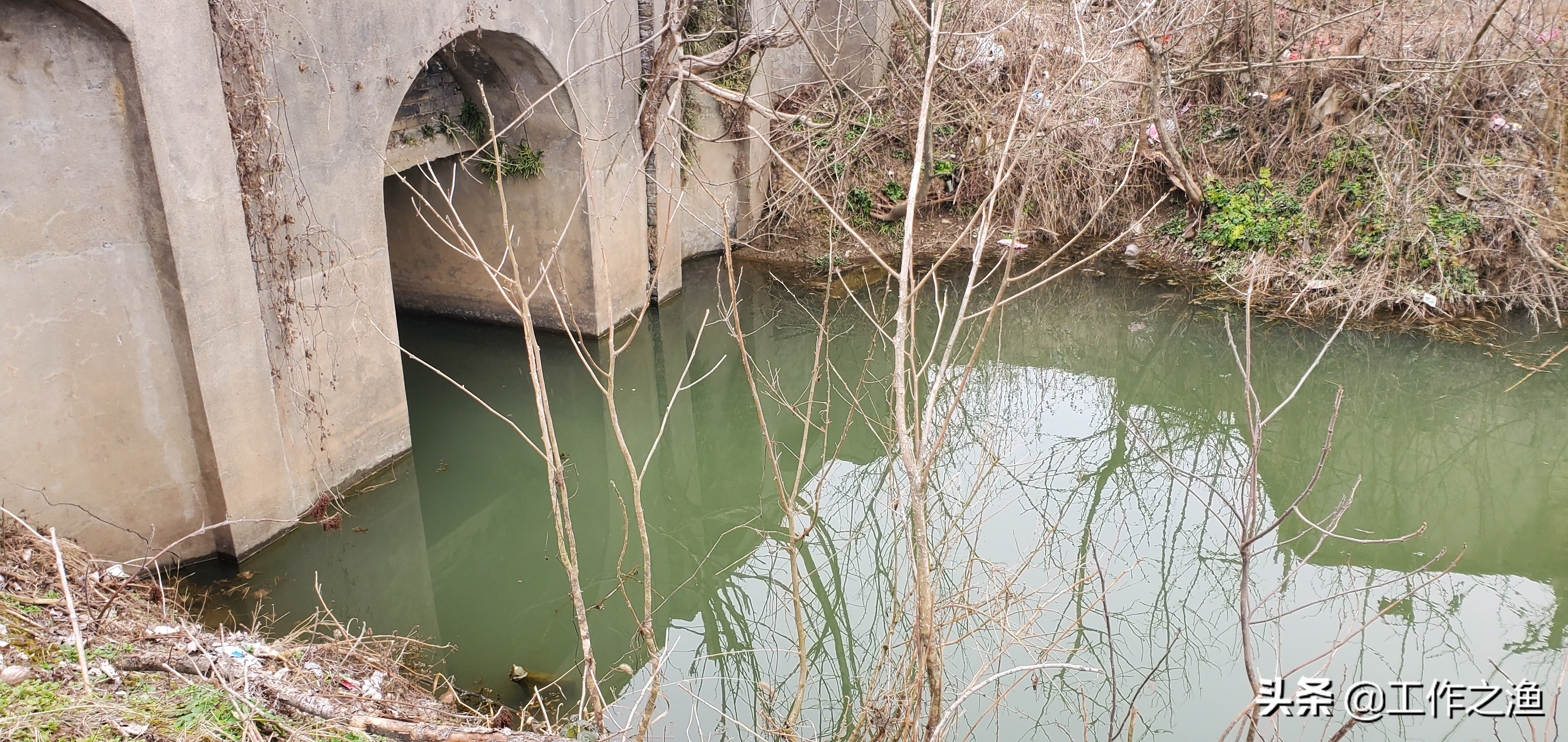 再好的饵料下不去竿也钓不好鱼,再好的饵料也不如活饵