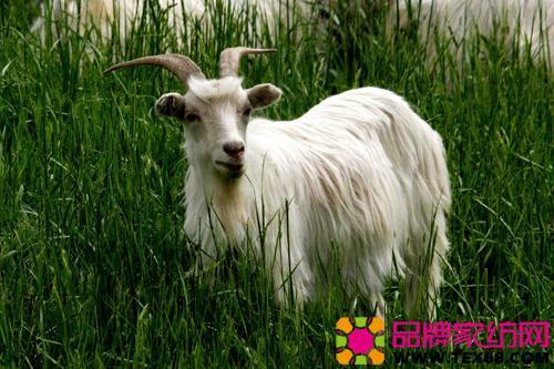 各种常见服装面料优缺点