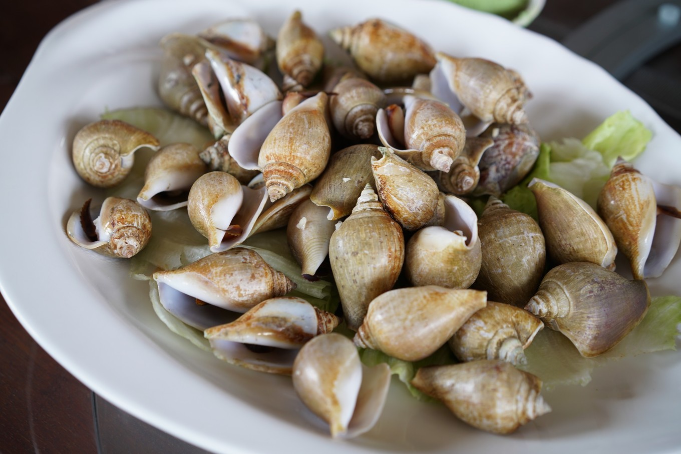 马来西亚西马旅游最佳线路图,马来西亚旅游怎么玩