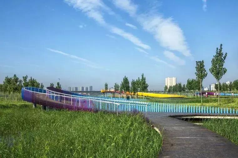 咸阳3号桥河堤路南岸湿地公园,咸阳太平镇孙家堡湿地公园