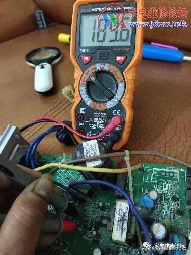 一群人和一只壁虎引发血案,一只壁虎引发的事件