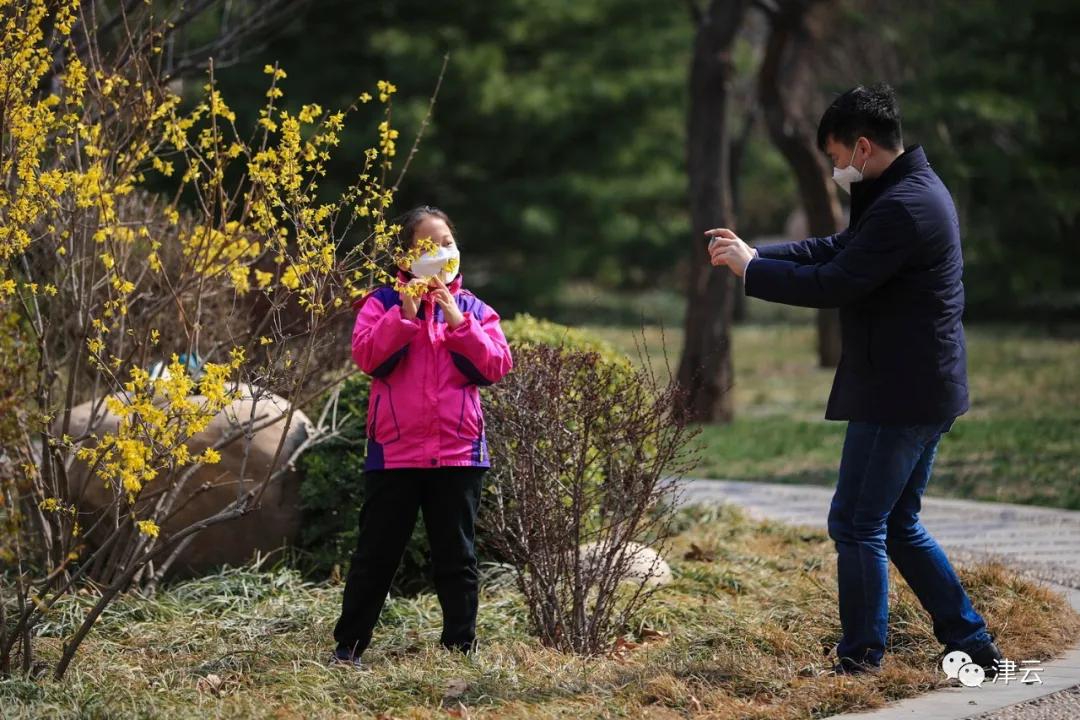 天津2022年四月开放的公园,期待天津这里将再添一片绿洲