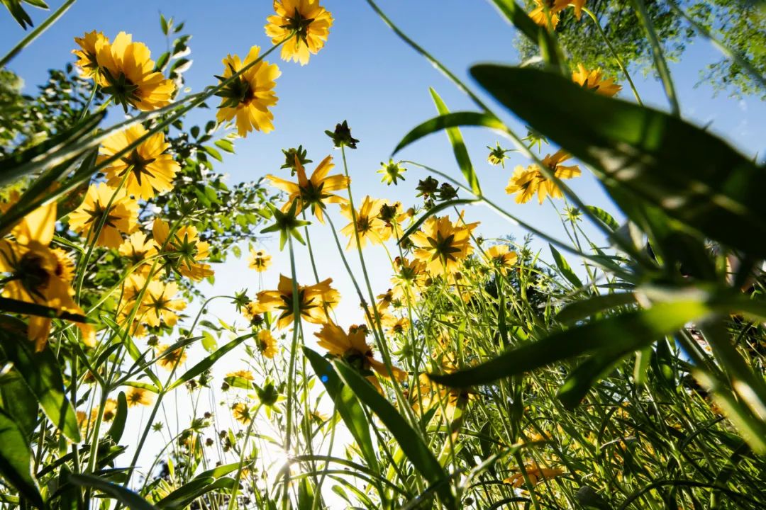 名人经典语录90句值得收藏,100句值得收藏的名人经典语录推荐