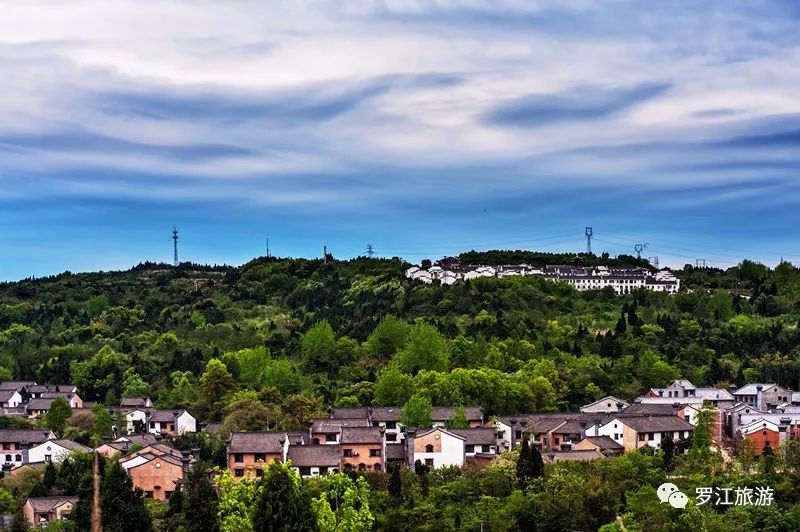 罗江赏梅花,罗江的礼物去哪买