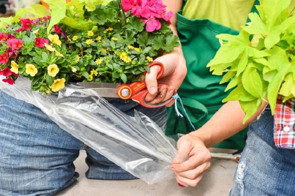 牛仔裤改造花盆,旧牛仔裤的改造花盆