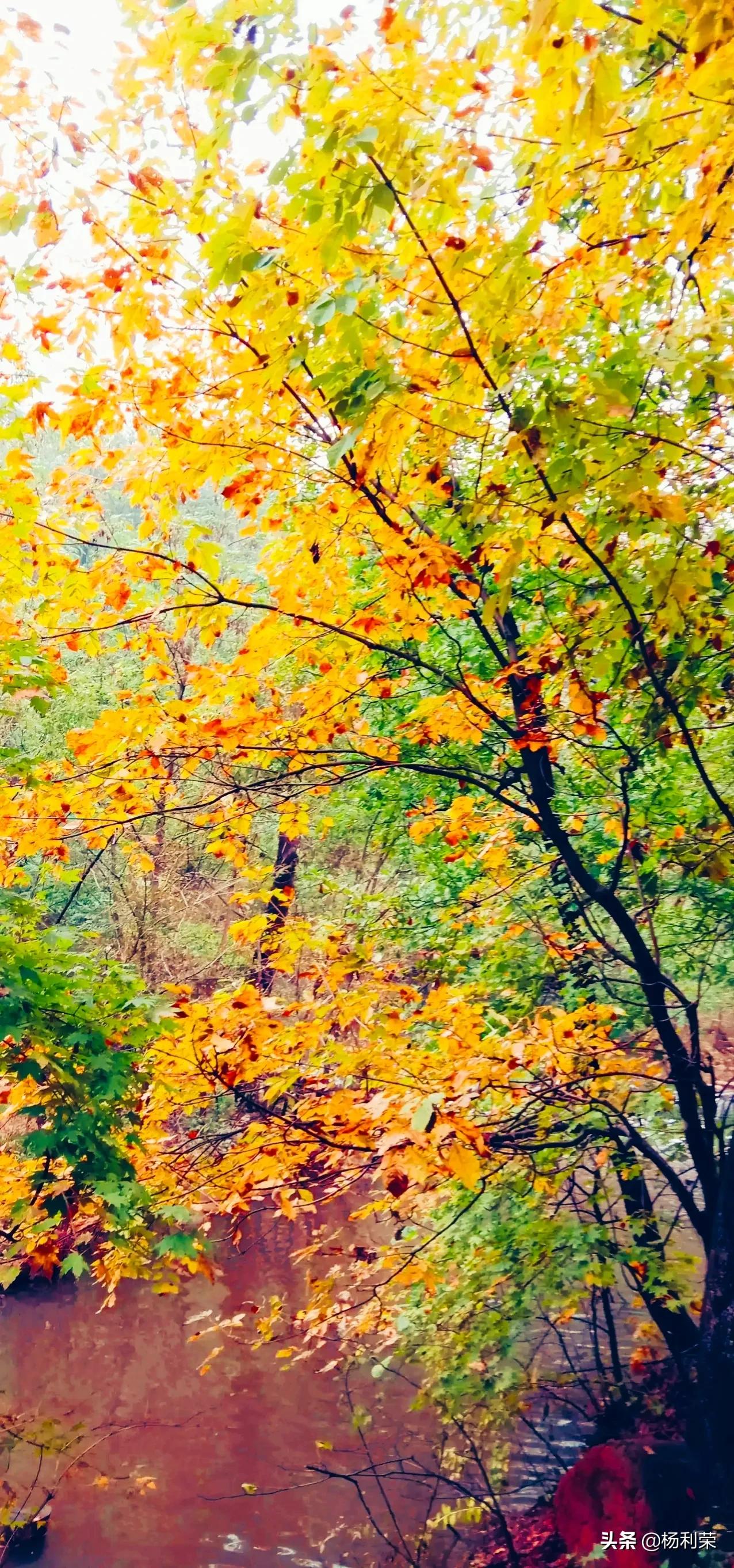 长江三峡李白的七绝,长江三峡行七绝