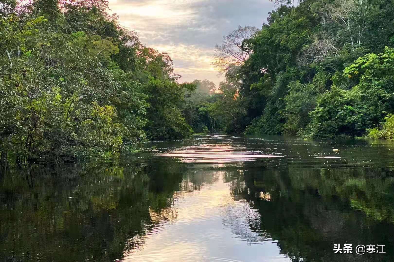 亚马逊热带雨林食人花奇妙之旅,去亚马逊热带雨林探险