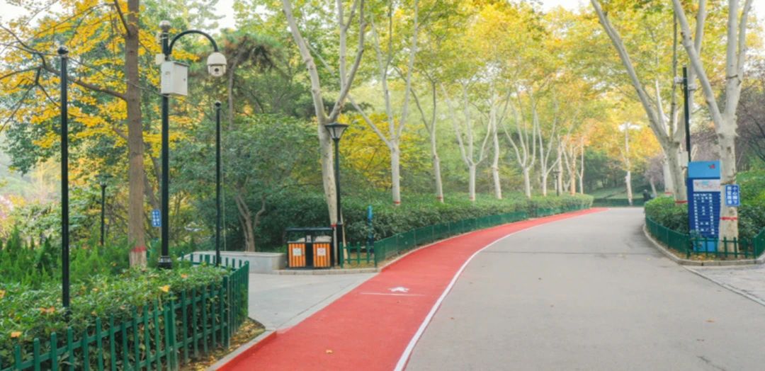 推荐|西安市体育局推出九条夜跑线路