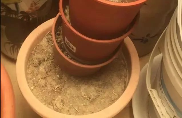 如何检测盆土酸碱性,检测花盆土壤干湿度的方法