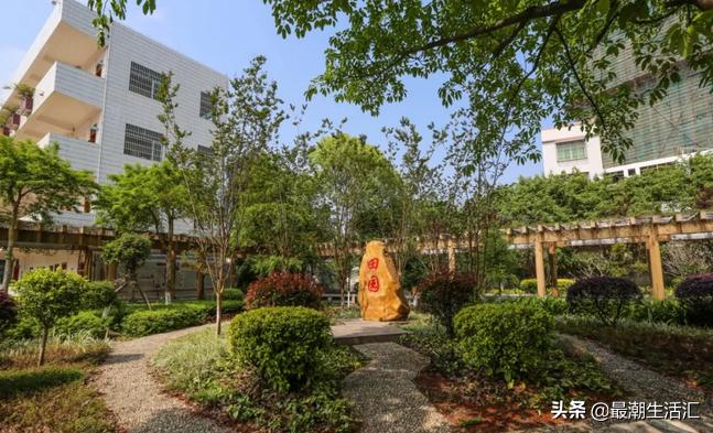 五华田家炳中学美术,五华田家炳中学简介