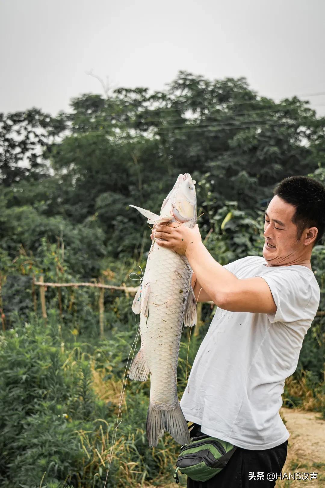 天元邓刚钓鱼属于什么水平,天元邓刚钓鱼最新视频现场