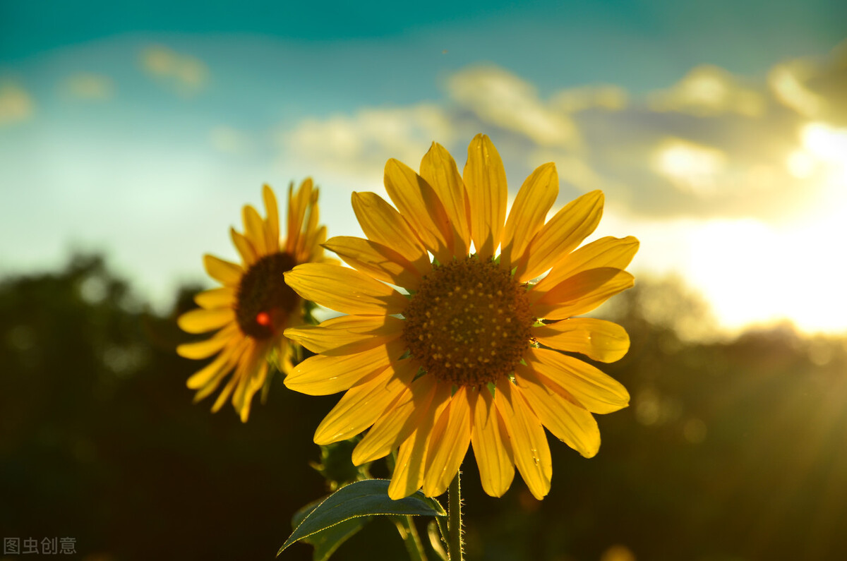 遐想原曲,岁末遐想古诗词文案原创