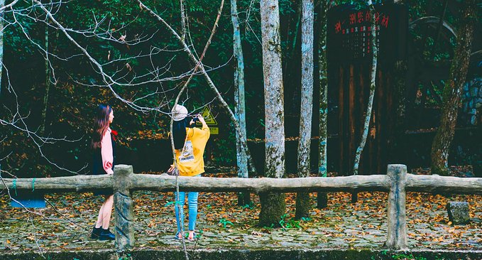 一起游玩泰顺,小众旅游泰顺