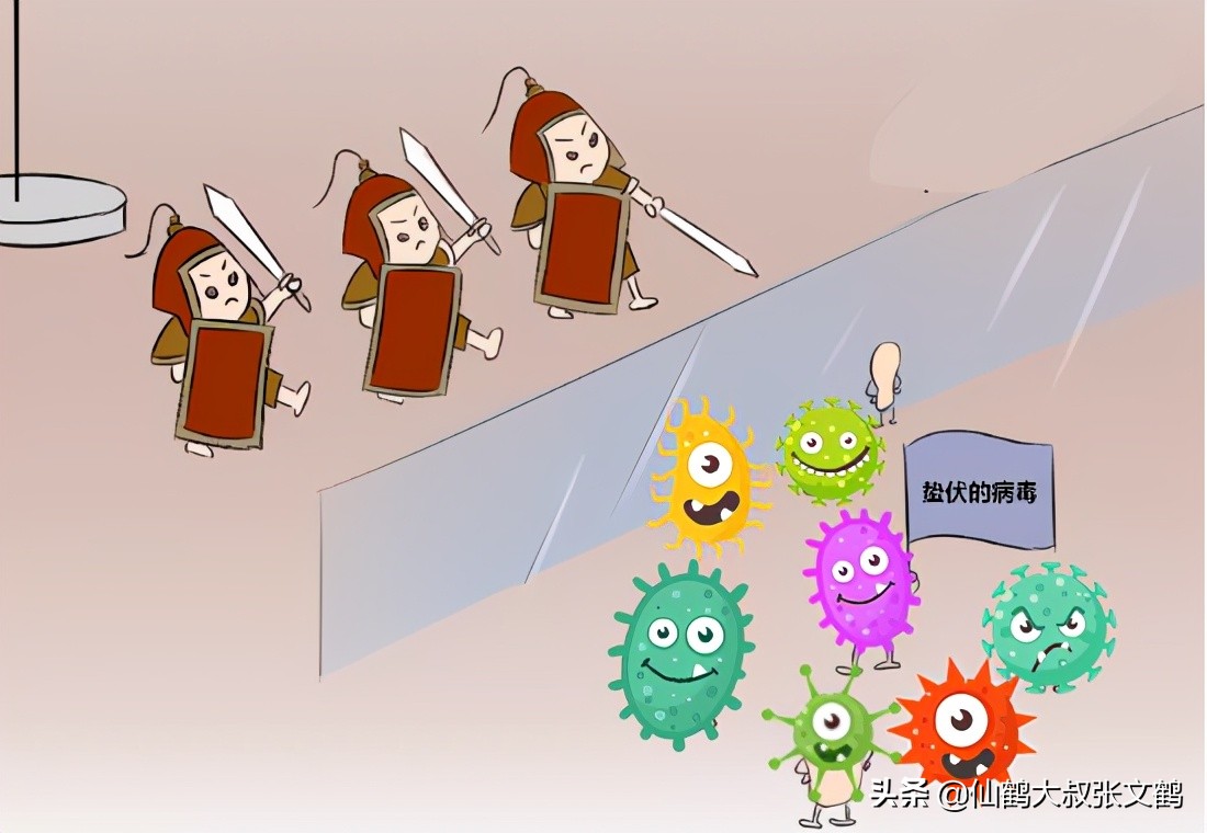 缠腰龙病怎么治疗效果最好,缠腰龙病有什么土办法治